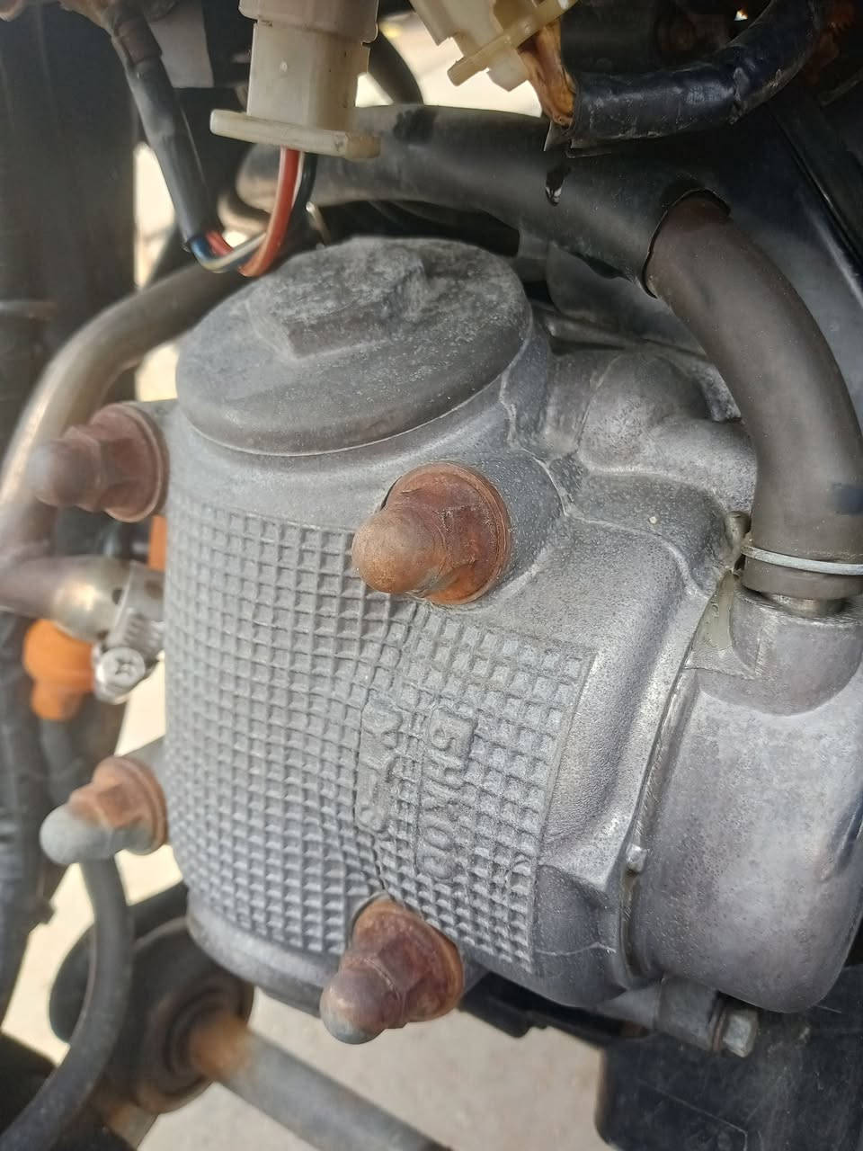 رمبه كفاله عامه 27يوم منزله.كله ملاح 
أوراق كامله بئسمي 

مكانه بغداد 

950بيه مجال 

***********
