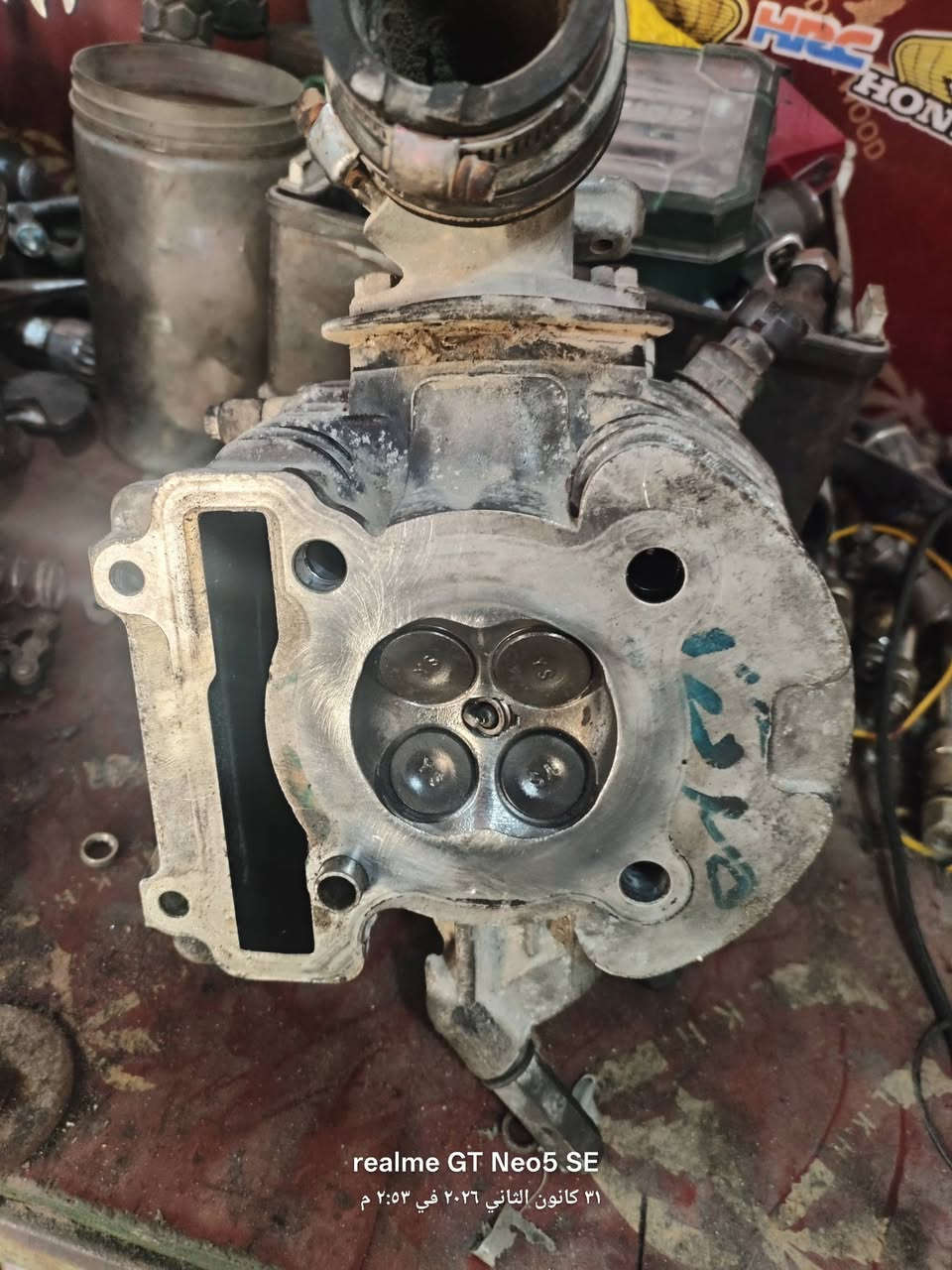 سلام عليكم للبيع كورات سكنس ١٤٠ فحل نضاف مثل مشوف سعر لقطعه ٥٠ الف عنوان بغداد البلديات ***********
