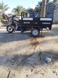 ستوته • موديل ٢١/٢٢ • كفاله عامه