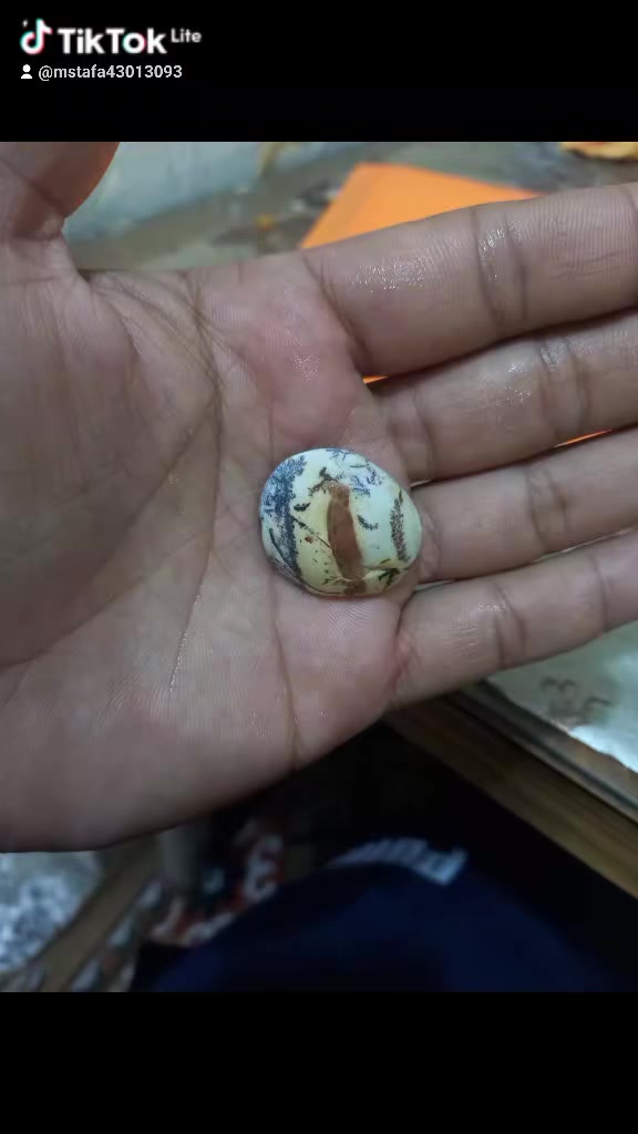 جراخه اليوم ما شاء الله  للبيع


**إذا كنت صاحب هذا الإعلان وتريد حذفه لأي سبب، رجاءا أرسل رسالة إلى الدعم الفني**