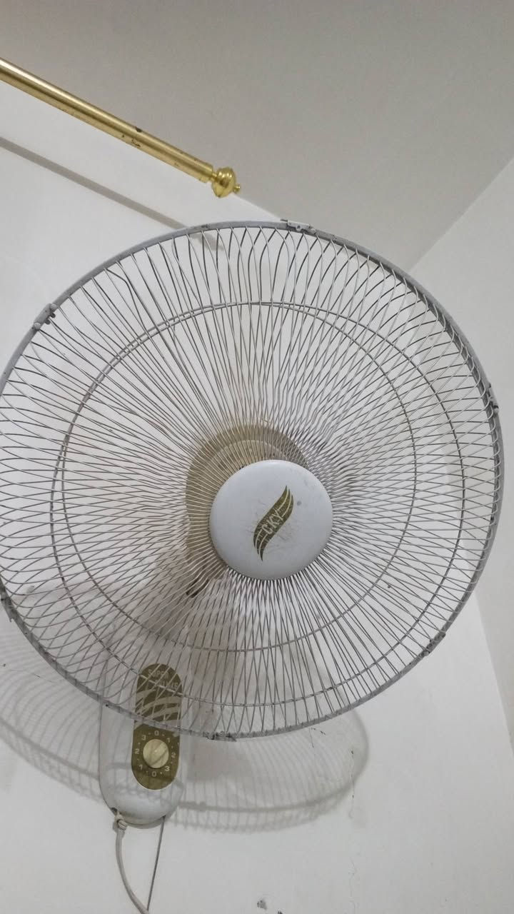 بنكه نضيفه مثل مااموضح بل الصوره سعره 25  ومكينه ثرم جديده سعره 65 الي يريدهن يتواصل عله الخاص


**إذا كنت صاحب هذا الإعلان وتريد حذفه لأي سبب، رجاءا أرسل رسالة إلى الدعم الفني**