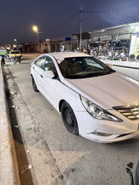 سوناته • مصبوغة • كربلاء طوريج