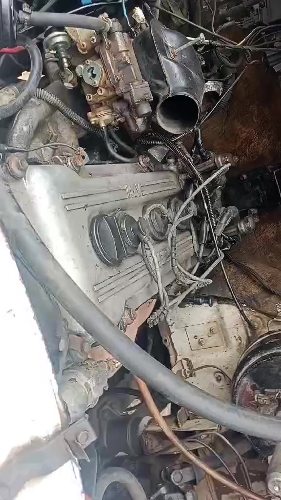 كازيل للبيع
رقمها صدامي راعيها موجود كير ومكينه بلادي سعرها 14 
ناصريه سوك الشيوخ 
هذا رقمي ***********
