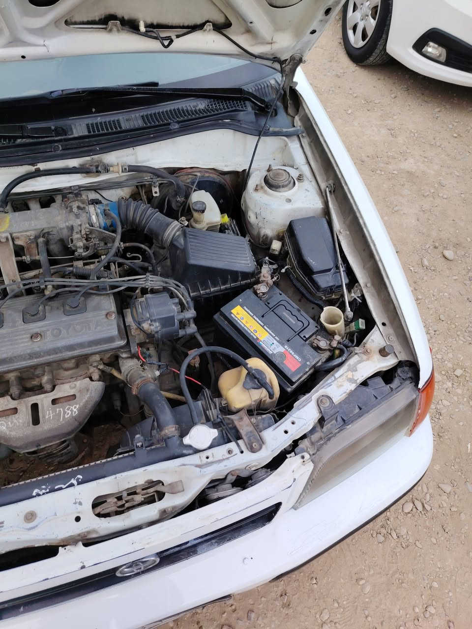 كورلا تيرسل موديل ١٩٩٦ أيسر بلاد
رقم بغداد مشروع وطني تحويل ثاني يوم

محرك وكير جدد حاويه حداديه جيده

كهربائيات كلهه شغاله مكفول كص ونقل جثه وعيب شرعي

سياره جاهزه وحلوه

السعر ٤٥ بيه مجال

للاستفسار الاتصال

***********

مكانه ناصريه قلعه سكر
