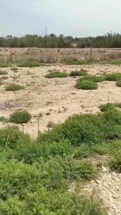 الاستفسار داخل الفيديو إذا عجبك تصل *********** وبيك خير وتدلل بي وتساب
