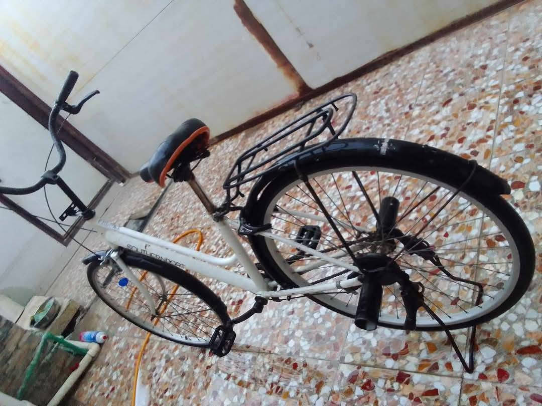 سلام عليكم باسكل للبيع الحجم 26 نضيف السعر 40 العنوان الديوانية الإسكان قرب السفير الشراي يتفضل خاص ويدلل 🌹


**إذا كنت صاحب هذا الإعلان وتريد حذفه لأي سبب، رجاءا أرسل رسالة إلى الدعم الفني**