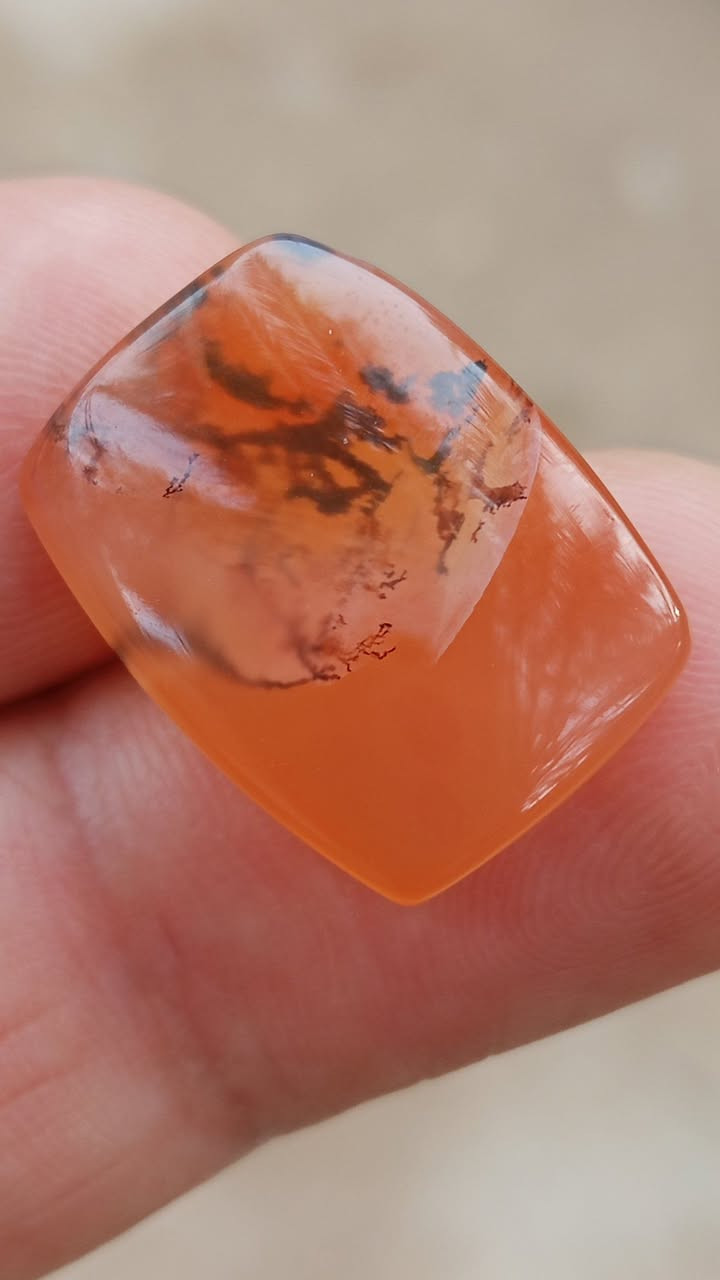 رواعع اليماني الانسي الحر الملكي المصور ول الشجري الغير مجمر التواصل خاص


**إذا كنت صاحب هذا الإعلان وتريد حذفه لأي سبب، رجاءا أرسل رسالة إلى الدعم الفني**