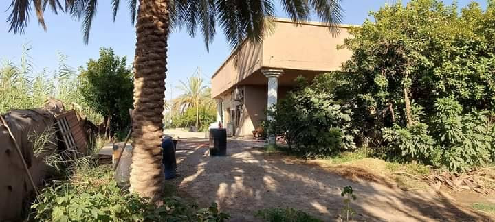 طابو زراعي سند ٢٥مع دار مساحه ٥ دونم مع دار سكن تحتوي على٥٣ نخله ملون برحي وجبجاب وخستاوي وزهدي وبريم أشجار متنوعة ٤٠ تين و٣٠ تفاح وباقي الحمضيات تتوفر فيها كافة الخدمات كهرباء وماء أسأله وماء للسقي وتبليط منطقة الشارع الرابط بين سده الهنديه وشارع بغداد
للإستفسار الاتصال *********** ابو باسم
