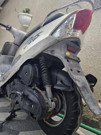 منغولي • مكفوله • نضافه