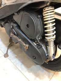 ماكس • عدله • كفالة