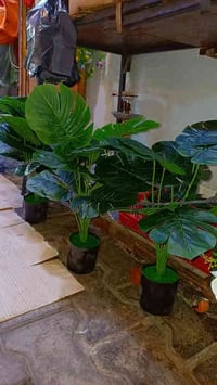 البحراني • تحفيات وهدايا • توصيل طويريج