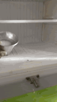 ثلاجه بلازما حجم كبير للبيع شرط النظافه والشغل مكانه حله ثوره هذا رقم تلفوني لا حد يجي خاص سعر 175 وبيها مجال***********
