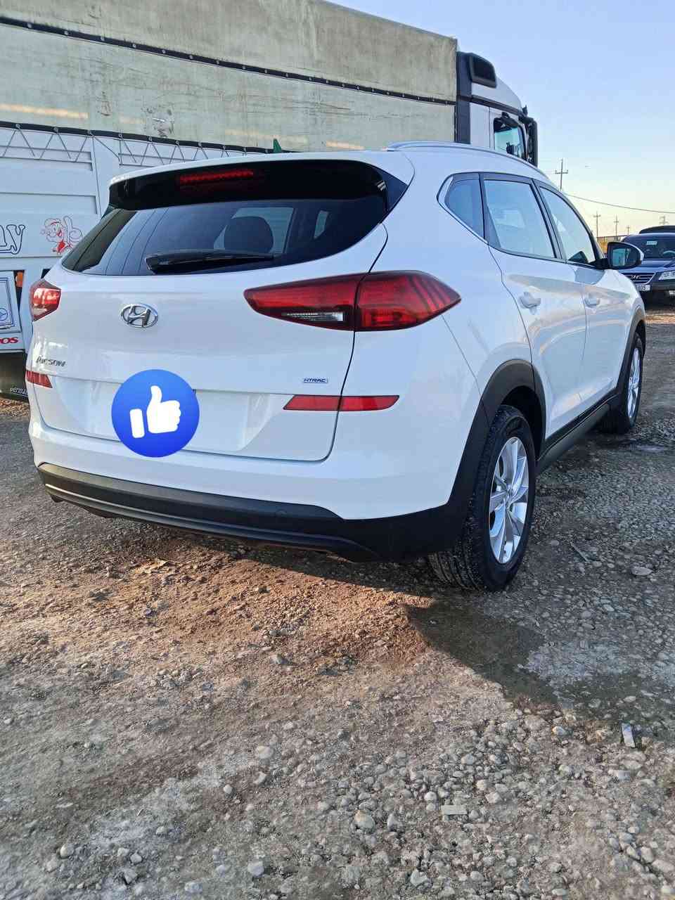 توكسان الكاصد 19 أمريكي فول مواصفات رقم واسط انكليزي حادثه بنيد او خشم جملغ الامامي بارد فقط سياره حلوه و جديده مال جناي ماشيه 100 مكينه مكفوله من بخار من تنقيص عل شركه ... رقم الهاتف *********** اوتساب موجود راسلني دزلك صور الحادث  مكان بابل .. سعر 165 او بيه مجال لشراي
