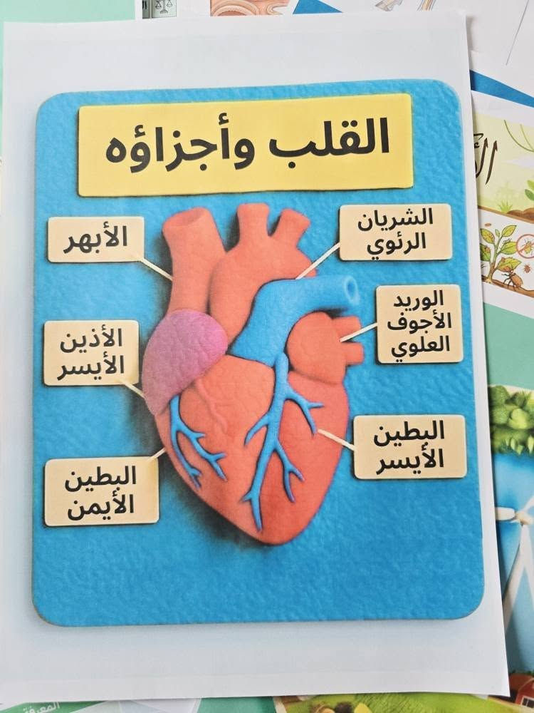 📗📘🌹📗📘👨‍💼👩‍💼📘📗🌹📘📗. 
كل مايحتاجه المعلمين والمدرسين والطلبة من بوسترات تعليمية لجميع المواد الدراسية 
يوجد توصيل لكل محافظات العراق
 للحجز والاستفسار *********** واتساب او مراسلة البيج
