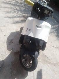 فراشه • بصرة • شراي فقط