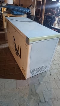 مجمدة • مستعملة • تجميد فول