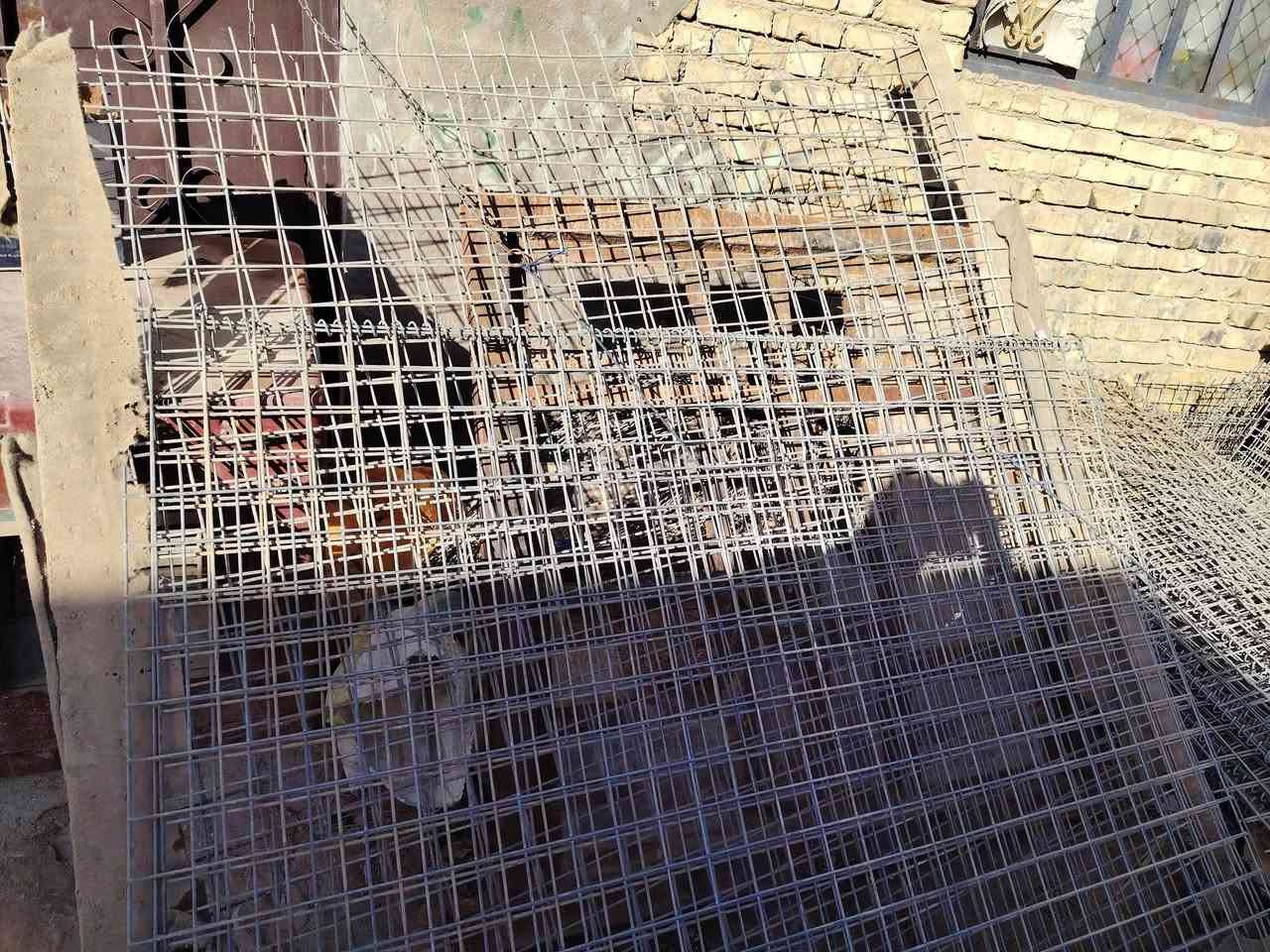 بي ارسي للبيع أمريكي حجم صغار وكبار العنوان الديوانيه


**إذا كنت صاحب هذا الإعلان وتريد حذفه لأي سبب، رجاءا أرسل رسالة إلى الدعم الفني**