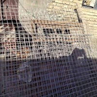 أمريكي • صغار وكبار • الديوانيه