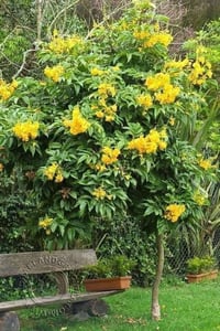 بيت للبيع طابو اتصال 07802604464