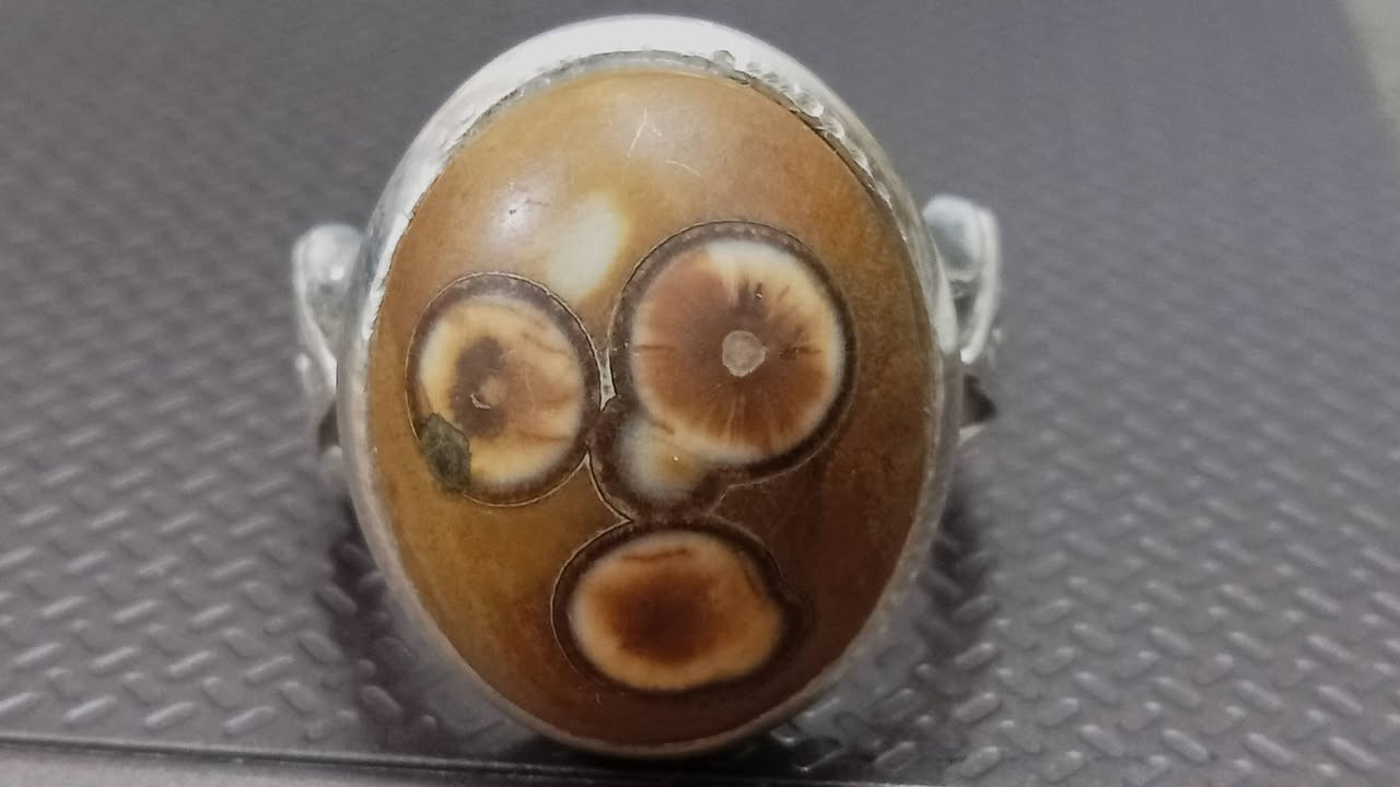 داودي مصور للبيع السعر خاص


**إذا كنت صاحب هذا الإعلان وتريد حذفه لأي سبب، رجاءا أرسل رسالة إلى الدعم الفني**