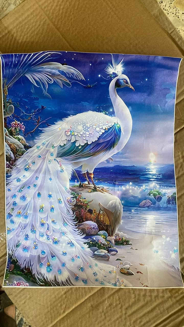 بوسترات جلد عدد١٥٠


**إذا كنت صاحب هذا الإعلان وتريد حذفه لأي سبب، رجاءا أرسل رسالة إلى الدعم الفني**