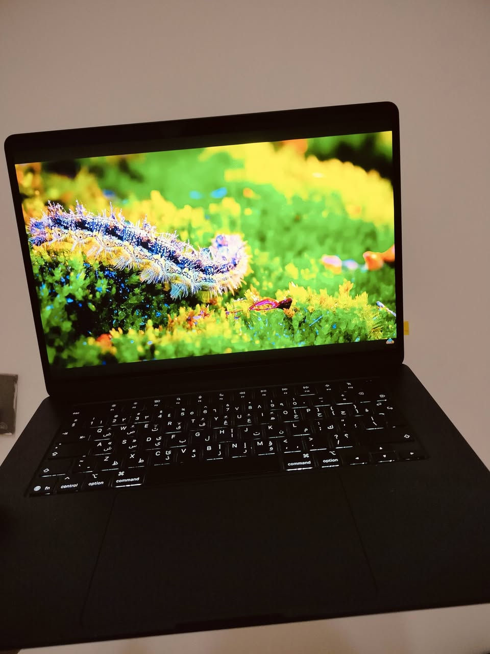 Macbook AIR M4 - 15.3 - midnight
ماك بوك m4 نظيف استعمال منزلي

نوع air

حجم الشاشة 15.3!

المساحة 256 كيكا

الرام 16GB

الباتري : ٩٤٪

الموقع: البصرة

السعر: 1,450,000 دينار عراقي قفل


**إذا كنت صاحب هذا الإعلان وتريد حذفه لأي سبب، رجاءا أرسل رسالة إلى الدعم الفني**