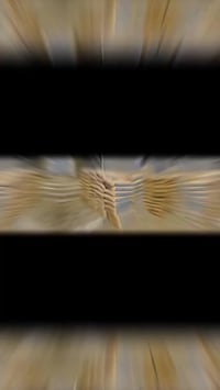 أسمنت أسود أبيض • توصيل البصرة • ساحة سعد