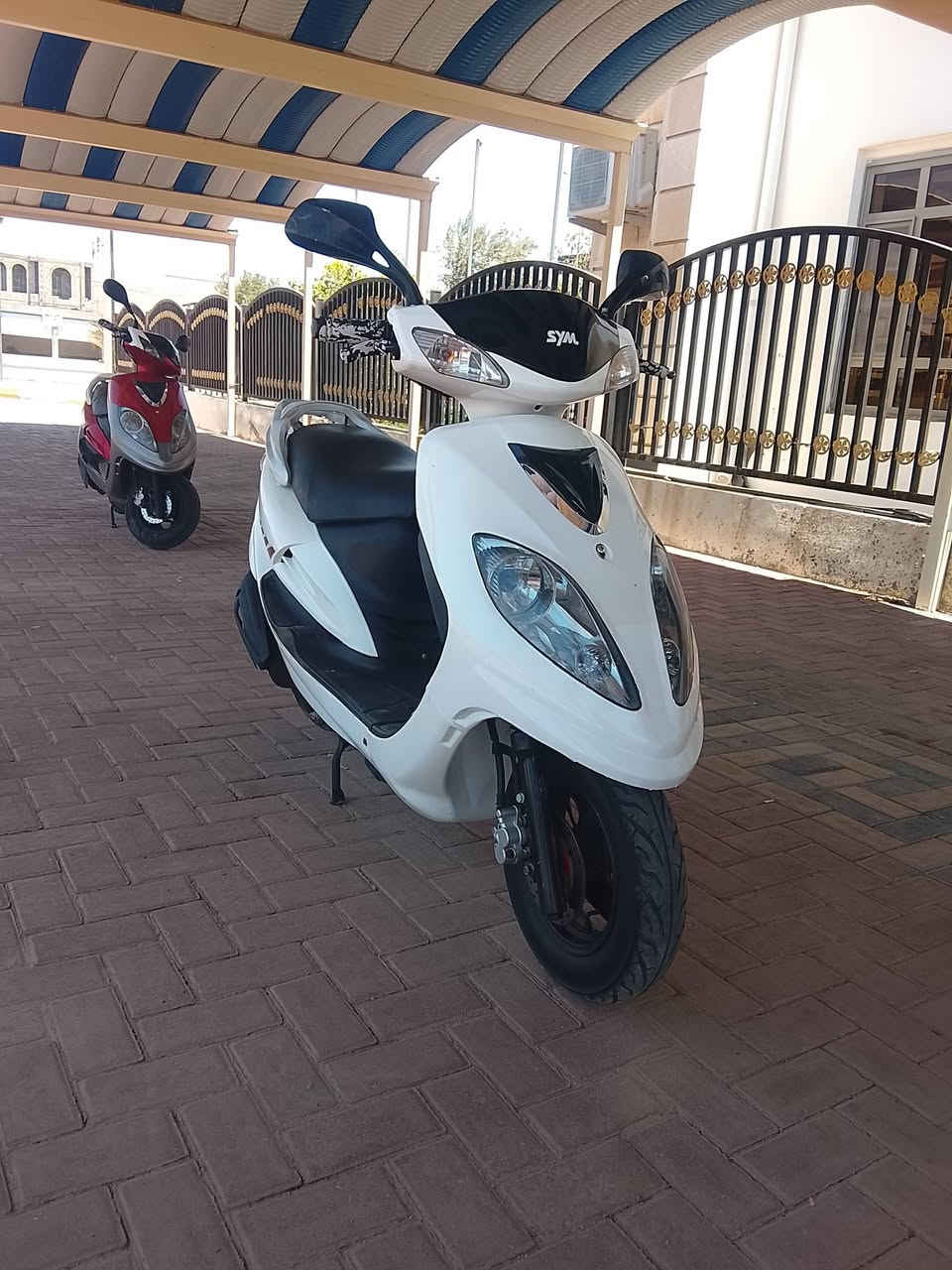 يا اللّه
للبيع دراجة سايم ابو عيون محرك نظيف كهربائيات سلف هندر كله شغال دراجة جاهزه ما بيها اي نقص السعر 550 وبي مجال العنوان الرمادي التواصل على الرقم ***********
