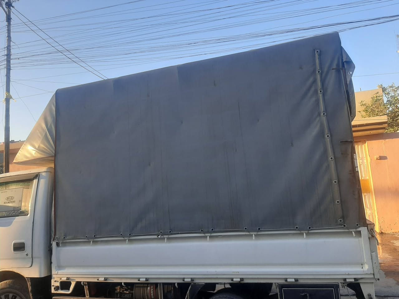 جادركيامع محجل للبيع ٨ جنكال ***********(***********)
