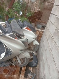 شباب الوجبه الثانيه   شباب ماجسته عدد2 دبل رون  البيجيه كفرات كامله مك...