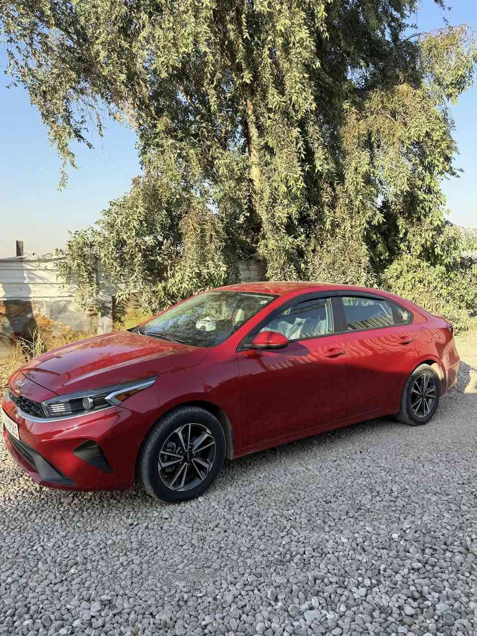 السلام عليكم كيا فورتي وارد امريكي موديل2024
السياره حادثها بارد بلباب فقط    واجتي من. امريكا بيها صبغ الباب الخلفي مع الجاملغ بدون حادث بدون حادث فقط صبغ امريكا موجود بل سونار السياره كلش نضيفه وجديده ما ماشيه بل عراق فقط على كد الترقيم فقط. 

مكاني بغداد جسر ديالى.  سعرها 153. قفل السياره تخم تاير جديد كلشي جديد 

رقمها اربيل باسمي شخصياً 

***********
