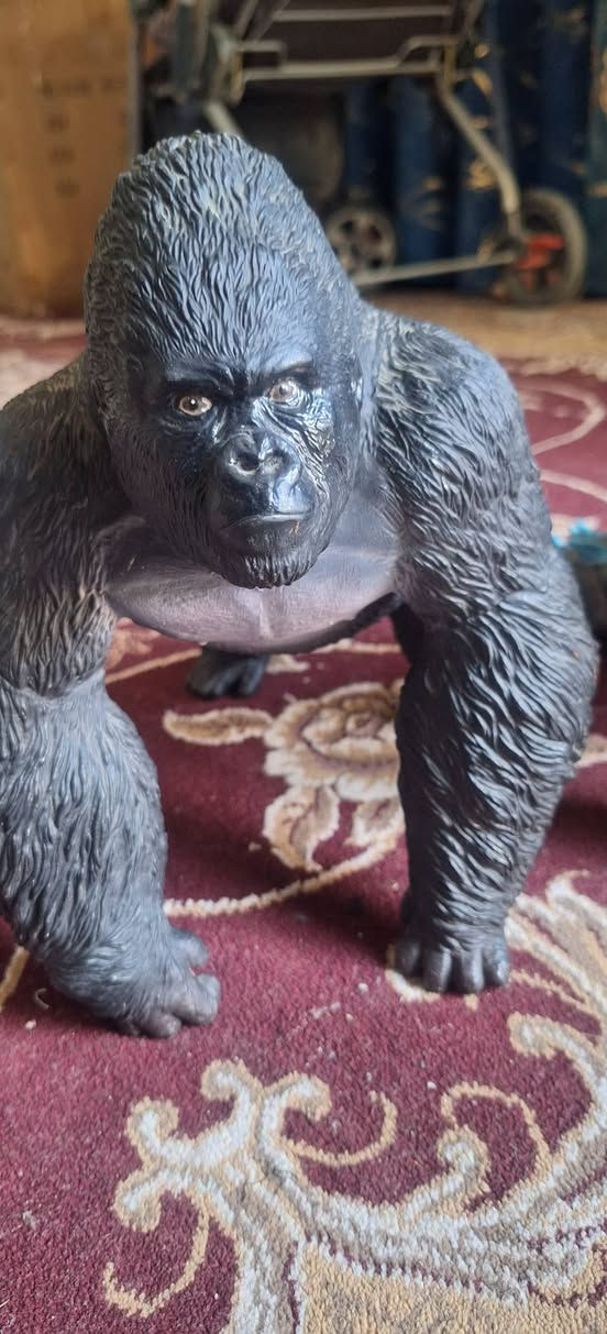 متوفر حجم ضخم


**إذا كنت صاحب هذا الإعلان وتريد حذفه لأي سبب، رجاءا أرسل رسالة إلى الدعم الفني**