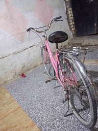 بايسكل بطه • مكمل • المحمودية