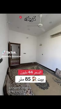البوبيات • ٨٥م • طابو مباشر