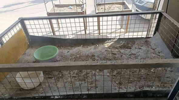 #للبيع. 
أغراض محلات مخضر ودجاج وسمچ للبيع كاملة مثل ما موضح بالصور. 
السريدات المربع الثالث مقابل المولدة
***********
