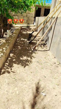 شقل تنضيف حدايق وتقليم سجر بي مكان نجيك وهلا بل كرايب التصال عل رقم 07...
