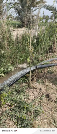 منظومة زراعية متكاملة • الزراعة الحديثة • الدجيل