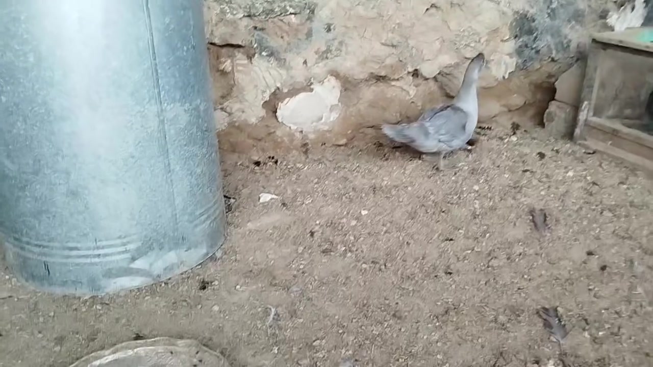 للبيع ***********//***********
