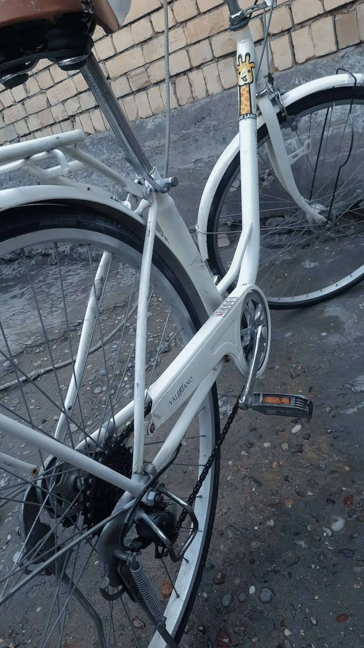 السلام عليكم بايسكل حجم 26 بايسكل حلو ومرتب قبل شهرين نازل رمبه 
حساس عكرب كله نضيف وجديد وحلو بايسكل مرتب السعر 
100 
مكانه الامين الثانيه خلف السده قرب مدرسه الكرفانات رقمي ***********
شراي هلا بيك اتشرف بل كل ♥
