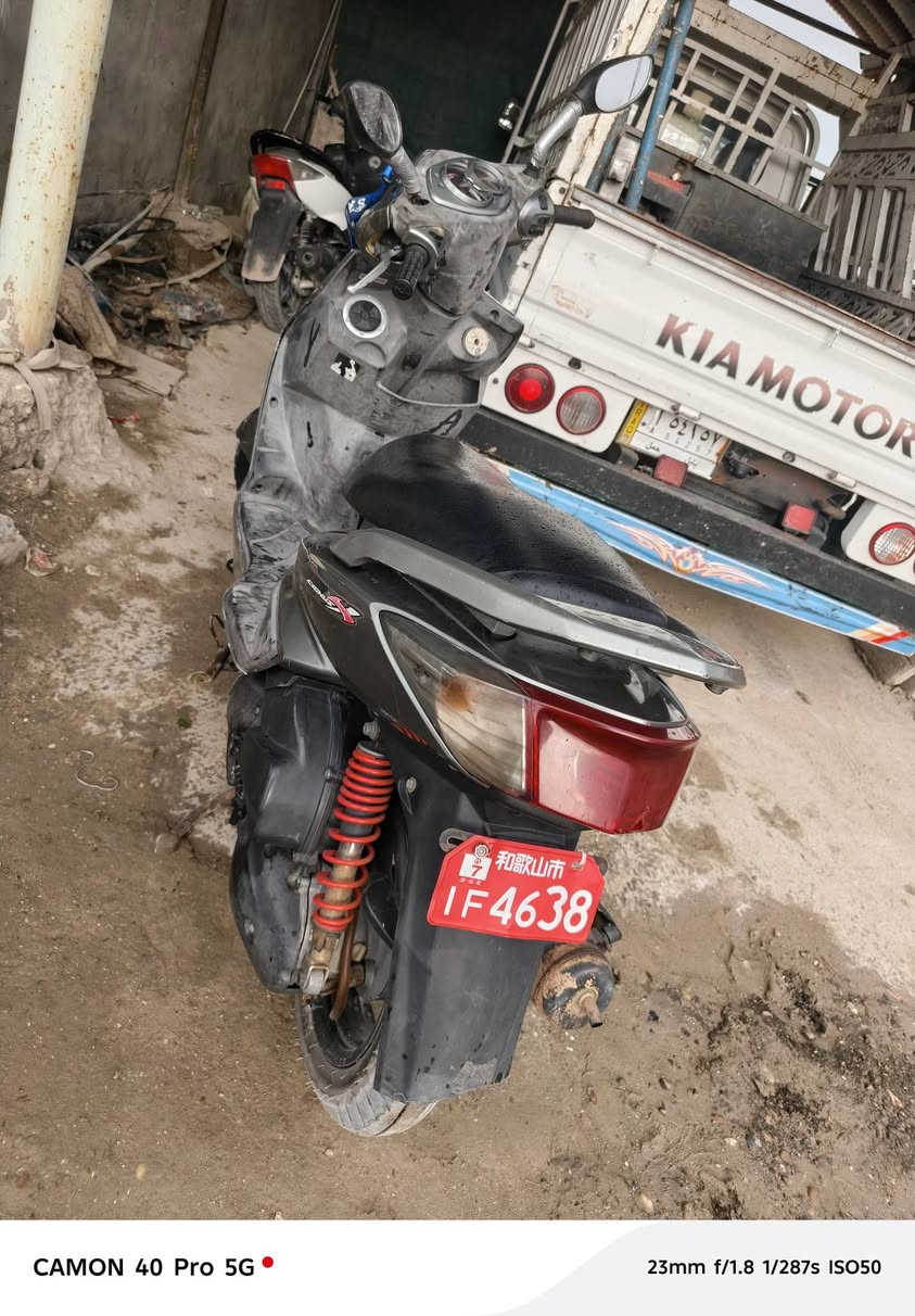 السلام عليكم سكنس فحل كابريته للبيع كفالة ختم واحد☝كهرباءيات كله شغاله للاستفسار *********** مكان بابل مركز  👍
