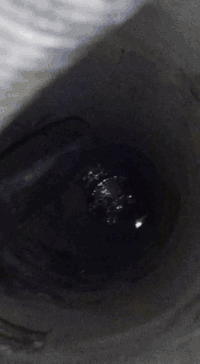 لحفر الابار الارتوازيه ***********
***********
مستعدون الحفر الابار وتعبرات الشوارع وتجفيف المنهولات نعمل في كافه محافضات العراق دقه في العمل وسرعه في الانجاز ونعمل تجفيف الارض الشركات الاهليه والحكوميه نعمل حفر الابار كاقه الاحجام ونعمل حفر يدوي والي
