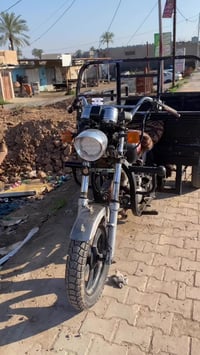 ستوته • الضلوعية • كلشي ما بيه