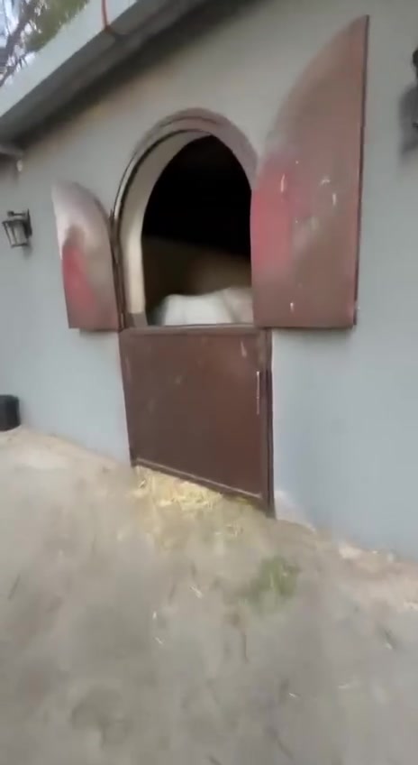 مزرعة سجاد ابن عالية نصيف


**إذا كنت صاحب هذا الإعلان وتريد حذفه لأي سبب، رجاءا أرسل رسالة إلى الدعم الفني**
