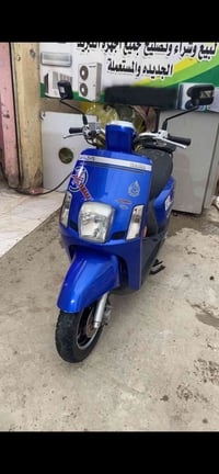 سكنس جبلي • مراوس