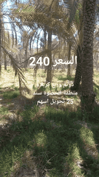 #دونم وربع كربلاء منطقة الحصوة تحويل اسهم كل الخدمات متوفرة وجه الارض 75 متر والباقي نزال السعر 240 باقي التفاصيل اتصال
***********
***********
