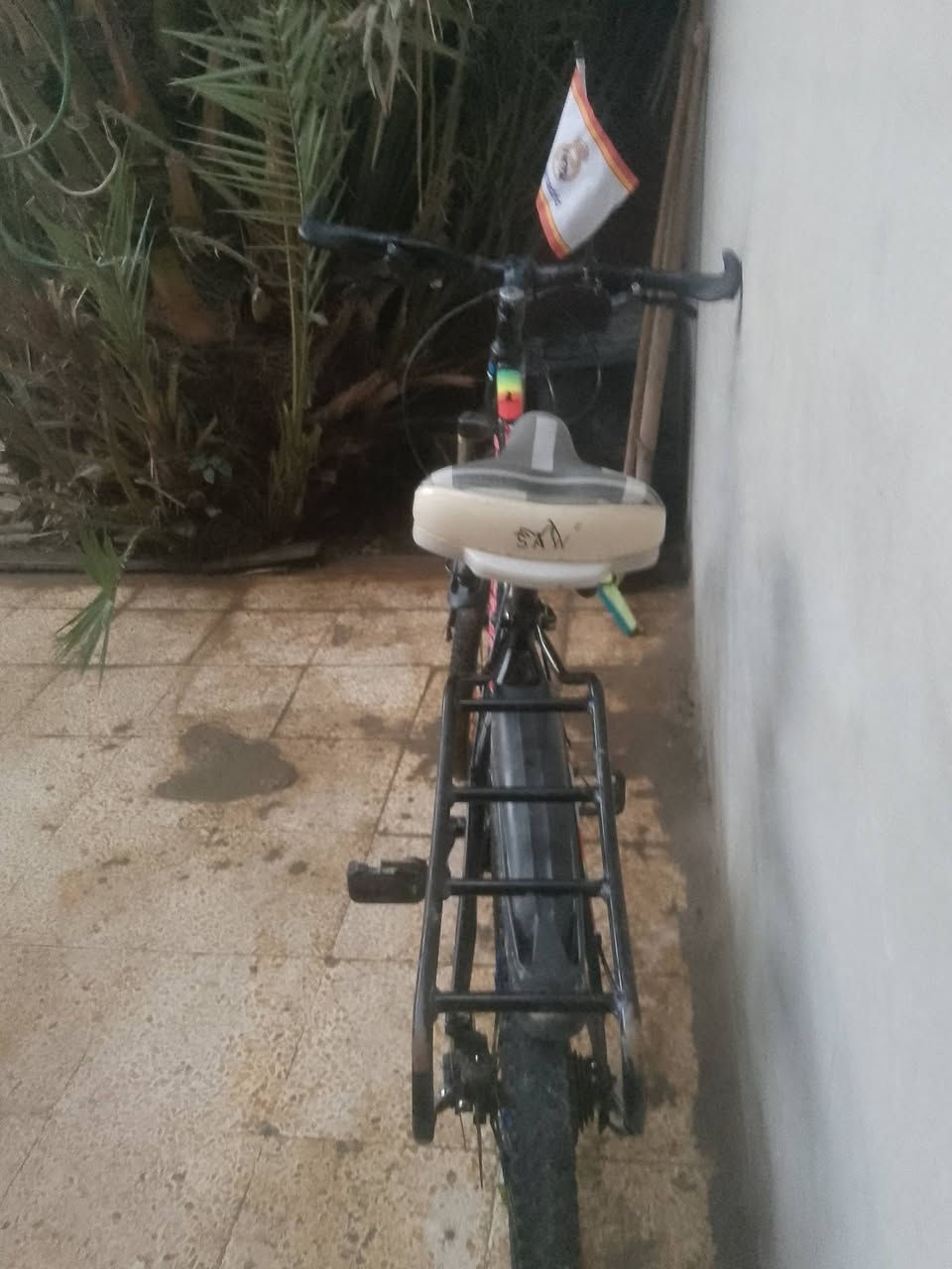 بايسكل جبلي دبلات و يبدل جير تايرات منفوخة قعادية جديدة مكينة جديدة جداً و علم مدريد بسعر 70 الف و اكو مفاوضة الموقع موصل حي سومر التقاطع الثاني


**إذا كنت صاحب هذا الإعلان وتريد حذفه لأي سبب، رجاءا أرسل رسالة إلى الدعم الفني**