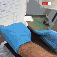 من الألم إلى الأمل، ومن الخسارات المتكررة إلى ولادة الحياة من جديد في ...