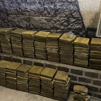 فرشي خضراوي • ٢٧٠ قطعة • كربلاء حي العسكري