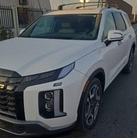 باليسايد • ٢٠٢٤ • كتاب شهداء