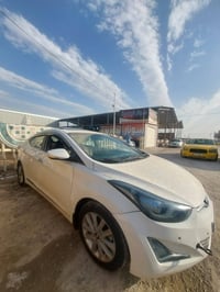 النتره خليجي مراوس بملكه او راس الثور تكم او فلات  فول مواصفات عده الب...
